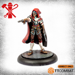 Load image into Gallery viewer, The Guild Single Miniature
