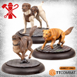 Load image into Gallery viewer, The Guild Single Miniature