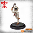 Load image into Gallery viewer, The Guild Single Miniature