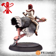 Load image into Gallery viewer, Ostrich Racing?!