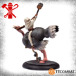 Load image into Gallery viewer, Ostrich Racing?!
