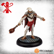 Load image into Gallery viewer, Pulcinellas
