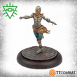Load image into Gallery viewer, Rashaar Single Miniature