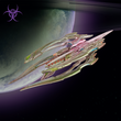 Load image into Gallery viewer, Scourge Battlefleet
