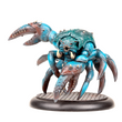 Load image into Gallery viewer, Brachyura
