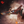 Load image into Gallery viewer, Bioficers Core Ships

