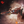 Load image into Gallery viewer, Bioficers Core Ships
