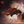 Load image into Gallery viewer, Bioficers Core Ships
