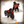 Load image into Gallery viewer, Running Aground **PRE-ORDER OCTOBER 3RD 2025**
