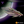 Load image into Gallery viewer, Scourge Dreadnought
