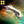 Load image into Gallery viewer, PHR Dreadnought
