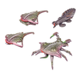 Load image into Gallery viewer, Scourge Starter Army - Dropzone Direct Only **Pre-Order 14-08-26**
