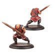 Load image into Gallery viewer, Wallachian Warhost - Strigoi
