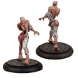 Load image into Gallery viewer, Blood Studies
