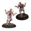 Load image into Gallery viewer, Blood Studies
